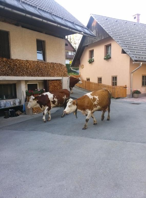 Apartmaji Matej Cvetek Bohinj Exterior photo